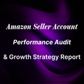 Amazon Seller Account Performance Audit & Growth Strategy Report